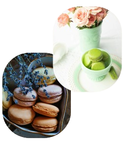 Le Macaron Maître Artisan